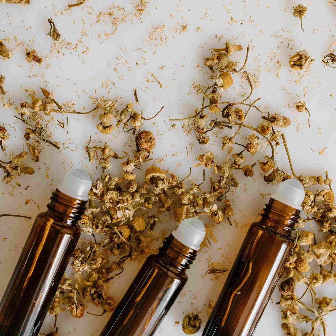 Oils & You